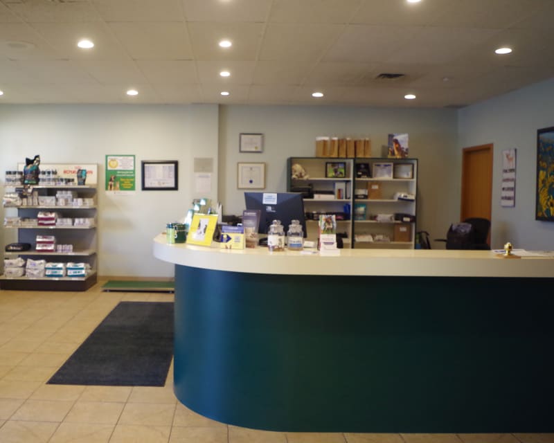 Cranbrook Veterinary Hospital in East Kootenay